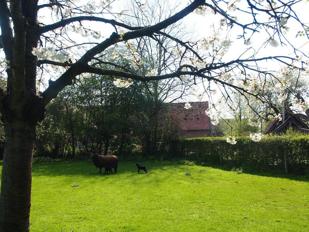 Grote Goesting Holiday House Wevelgem Bagian luar foto